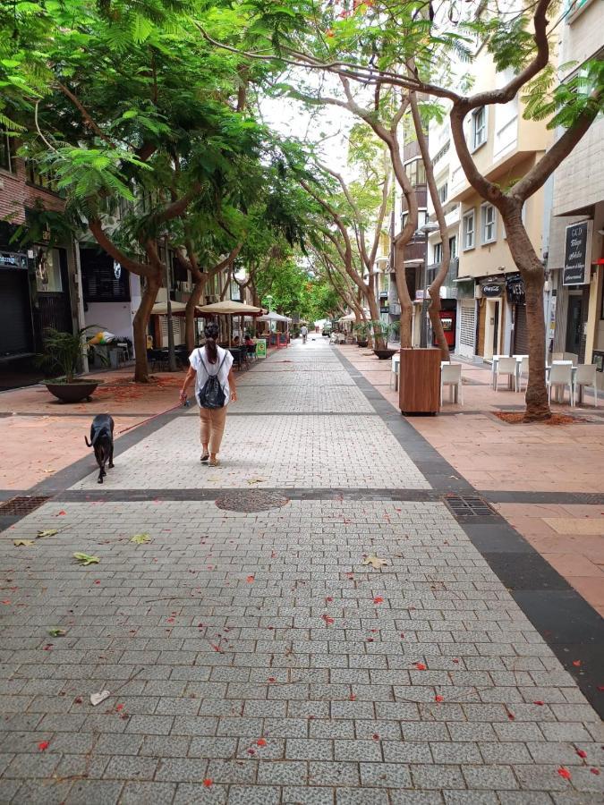 Center Santa Cruz, Alojamiento Centrico Con Gran Terraza, Cocina , Salon Y Banos, Todo Privado Eksteriør bilde