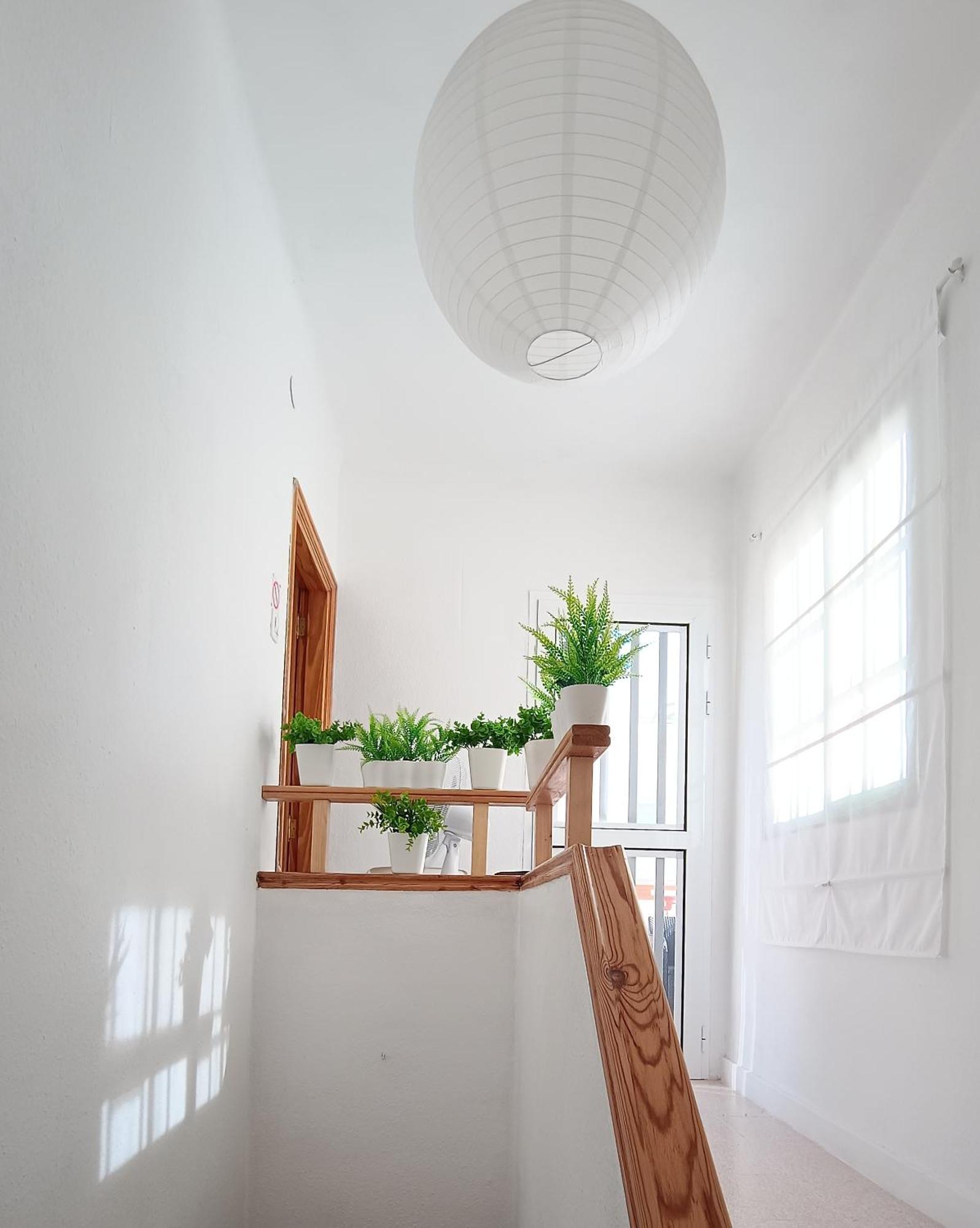 Center Santa Cruz, Alojamiento Centrico Con Gran Terraza, Cocina , Salon Y Banos, Todo Privado Eksteriør bilde