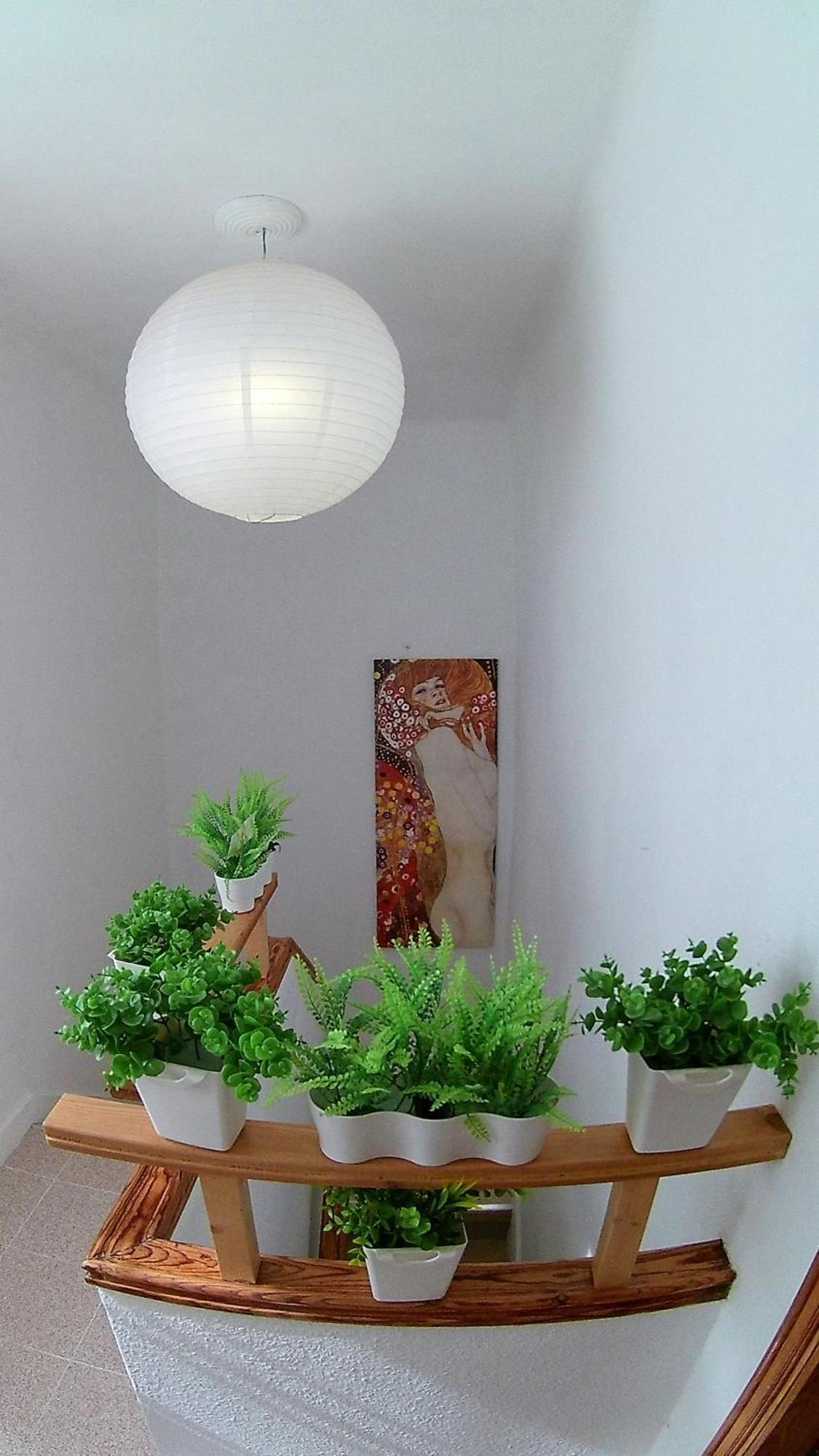 Center Santa Cruz, Alojamiento Centrico Con Gran Terraza, Cocina , Salon Y Banos, Todo Privado Eksteriør bilde